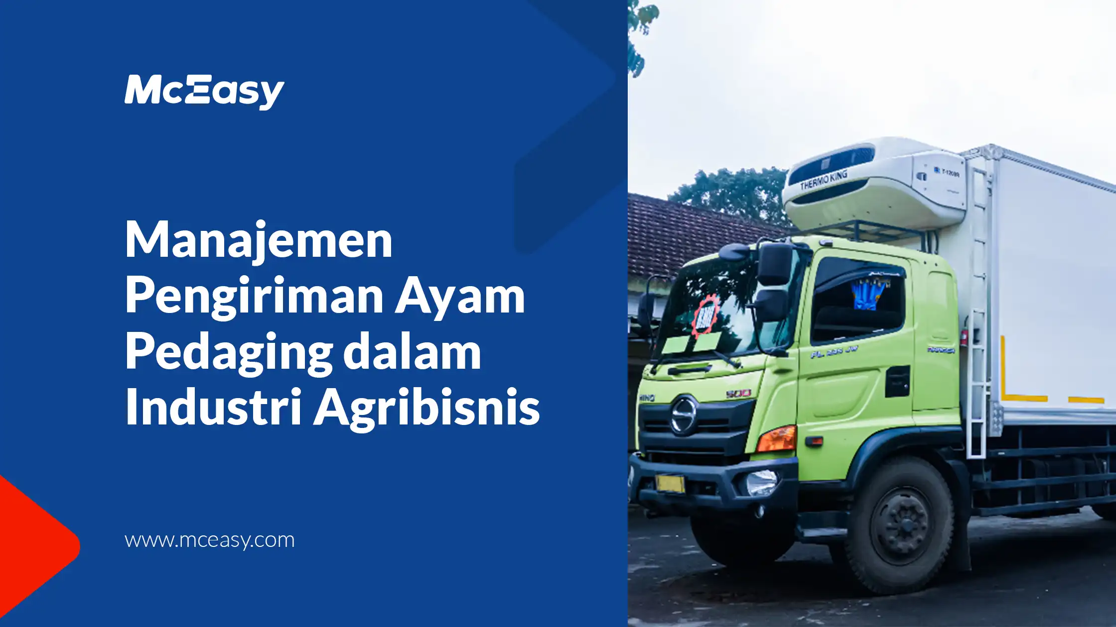 Strategi Efektif Manajemen Pengiriman Ayam Daging